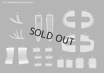 画像13: Model Factory Hiro 【K-817】1/12 300 SLR Mille Miglia Fulldetail Kit