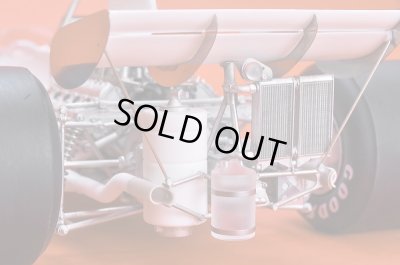 画像16: Model Factory Hiro 【K-820】1/12 McLaren M19A Fulldetail Kit