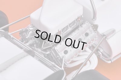 画像13: Model Factory Hiro 【K-820】1/12 McLaren M19A Fulldetail Kit