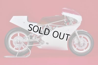 画像12: Model Factory Hiro 【K-790】1/9 750 TT1 [1983] Fulldetail Kit