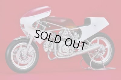 画像11: Model Factory Hiro 【K-790】1/9 750 TT1 [1983] Fulldetail Kit